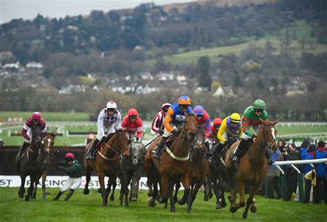 cheltenham festival tips|Cheltenham Festival Tips, Race Cards, Results and Free Bets.